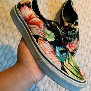 Used Tropical Vans